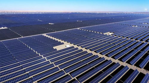 超越張雪峰，馬斯克預(yù)言 2030年人類不再是“最聰明的物種”，太陽(yáng)能發(fā)電技術(shù)服務(wù)或?qū)⒁?jiàn)證變革